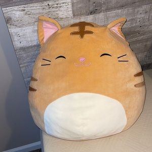 Costco squishmallow